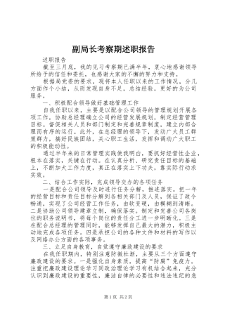 2024年副局长考察期述职报告