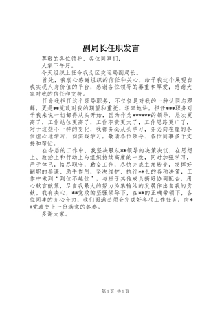 2024年副局长任职讲话