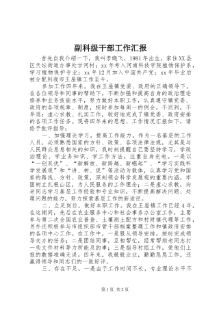 2024年副科级干部工作汇报