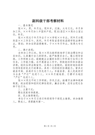 2024年副科级干部考察材料