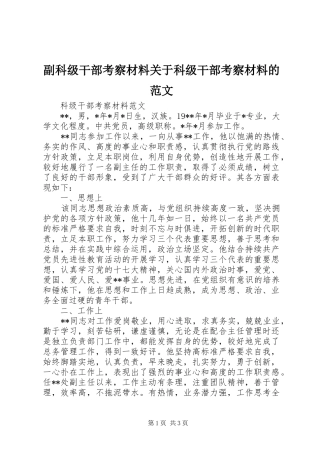 2024年副科级干部考察材料关于科级干部考察材料的范文