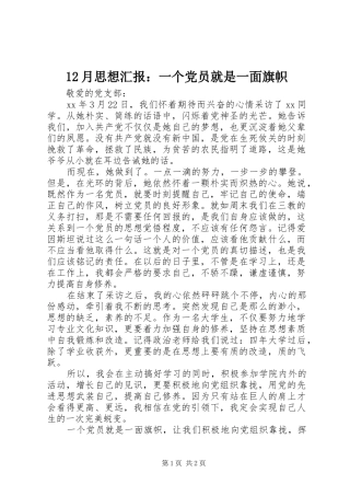 2024年月思想汇报一个党员就是一面旗帜