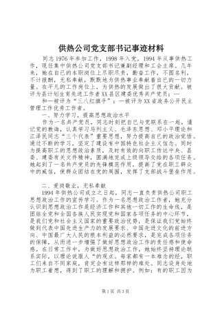 2024年供热公司党支部书记事迹材料