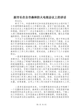 2024年副市长在全市森林防火电视会议上的致辞