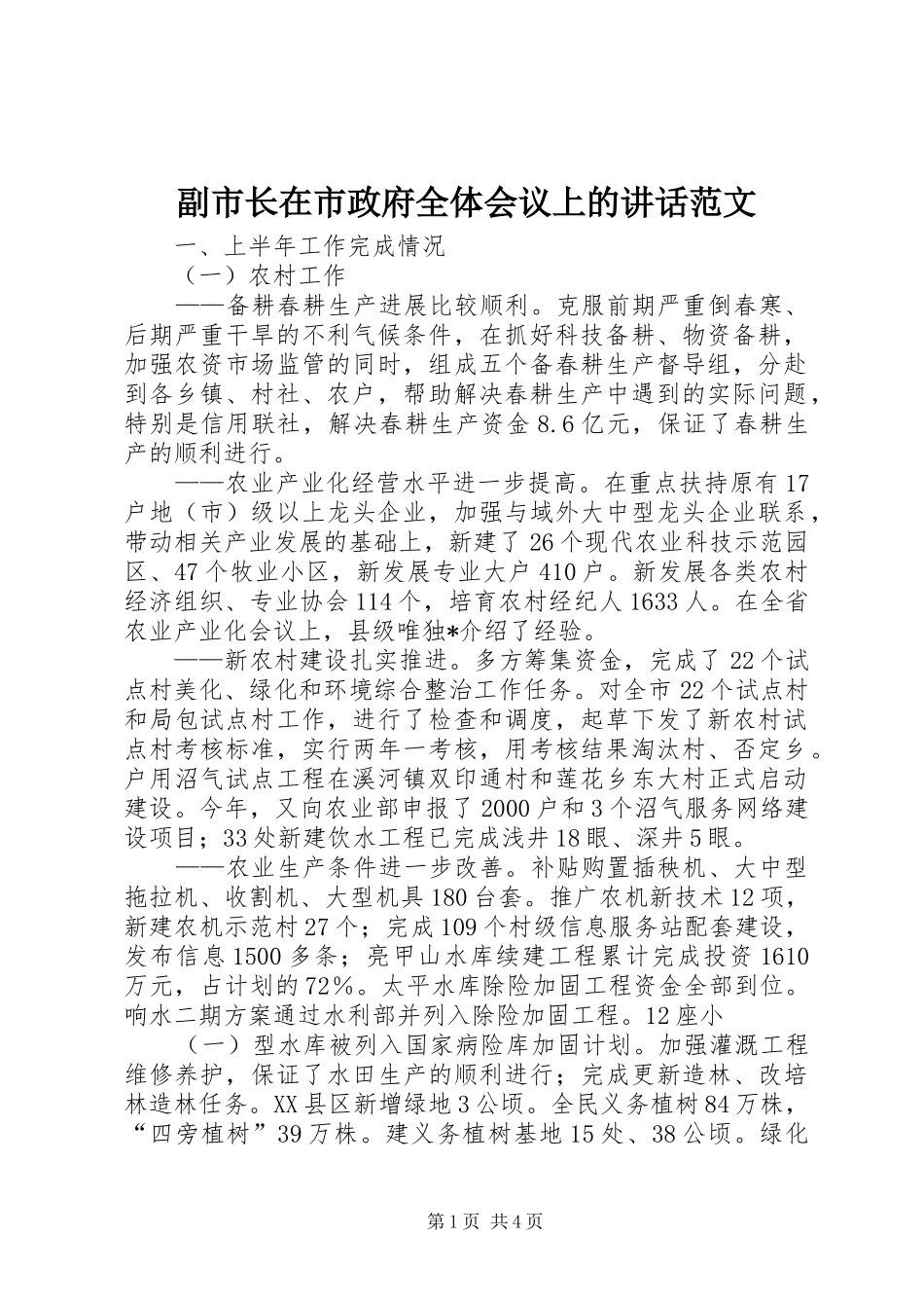 2024年副市长在市政府全体会议上的致辞范文_第1页