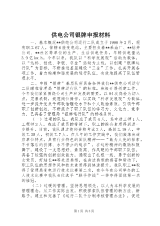 2024年供电公司银牌申报材料