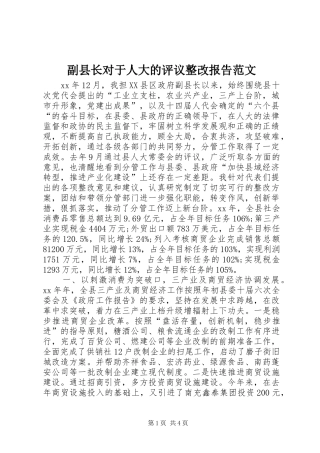 2024年副县长对于人大的评议整改报告范文