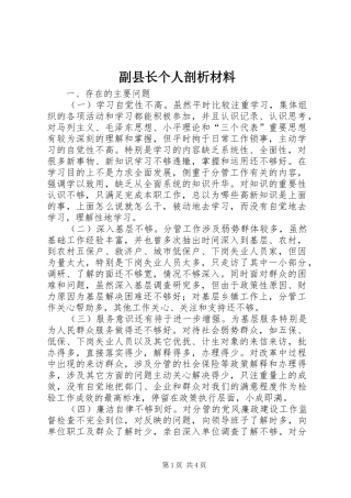 2024年副县长个人剖析材料