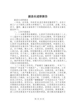 2024年副县长述职报告