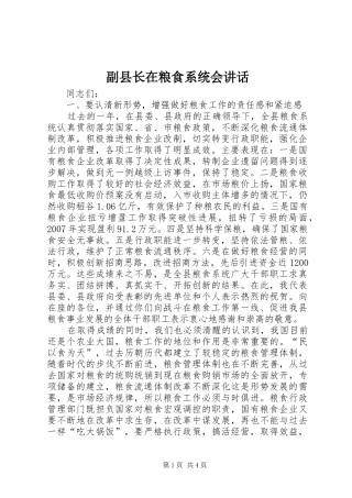 2024年副县长在粮食系统会致辞