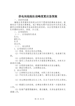 2024年供电局抢险队迎峰度夏应急预案