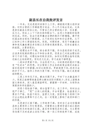 2024年副县长在自我批评讲话