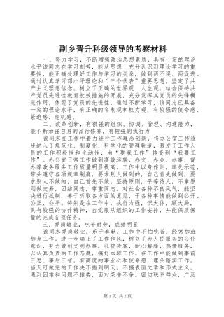 2024年副乡晋升科级领导的考察材料