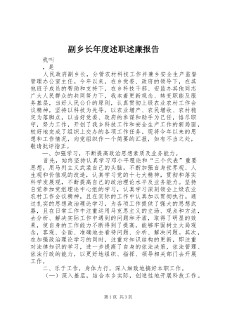 2024年副乡长年度述职述廉报告