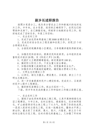 2024年副乡长述职报告