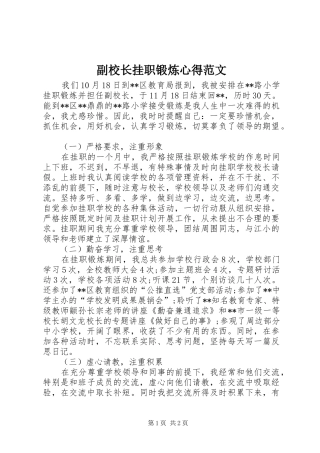 2024年副校长挂职锻炼心得范文