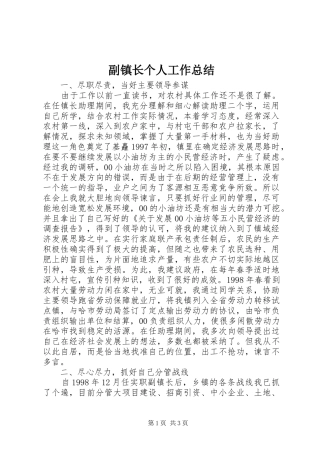 2024年副镇长个人工作总结