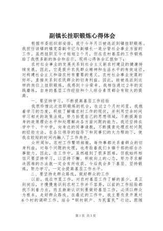 2024年副镇长挂职锻炼心得体会