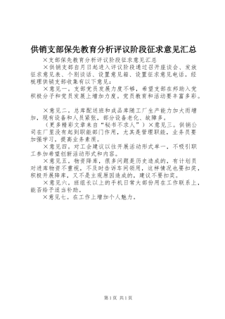 2024年供销支部保先教育分析评议阶段征求意见汇总