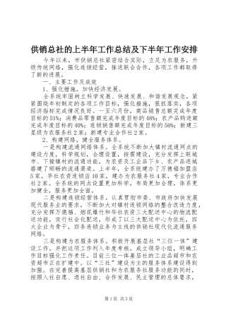 2024年供销总社的上半年工作总结及下半年工作安排