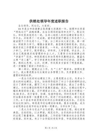 2024年供销处领导年度述职报告