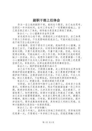 2024年副职干部上任体会