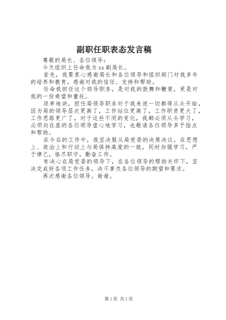 2024年副职任职表态讲话稿