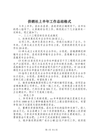 2024年供销社上半年工作总结格式