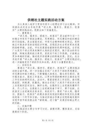2024年供销社主题实践活动方案