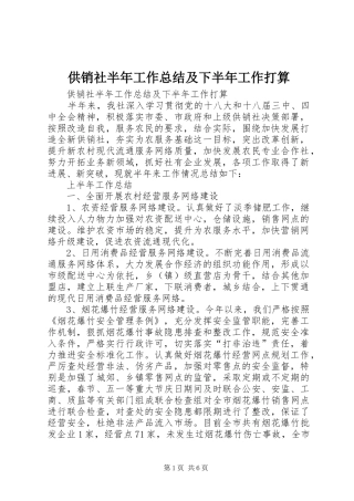 2024年供销社半年工作总结及下半年工作打算
