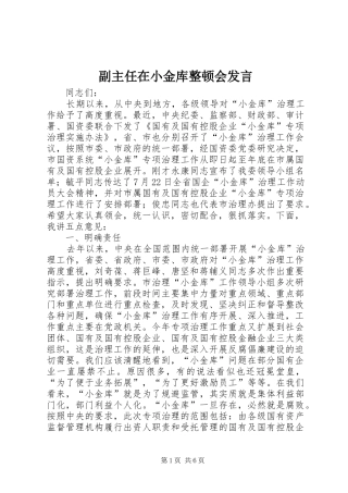 2024年副主任在小金库整顿会讲话