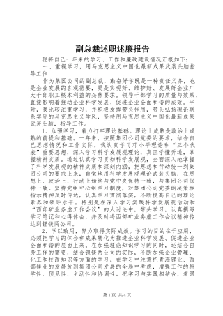 2024年副总裁述职述廉报告