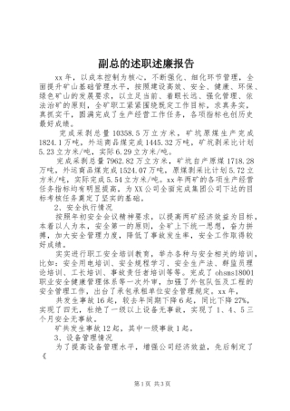 2024年副总的述职述廉报告