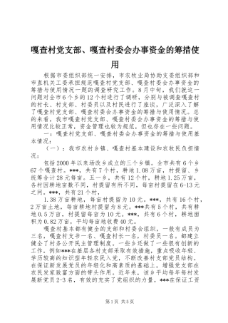 2024年嘎查村党支部嘎查村委会办事资金的筹措使用