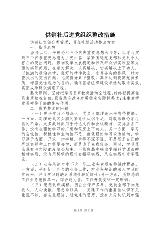 2024年供销社后进党组织整改措施