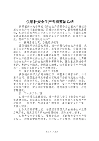 2024年供销社安全生产专项整治总结