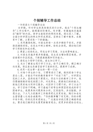 2024年个别辅导工作总结