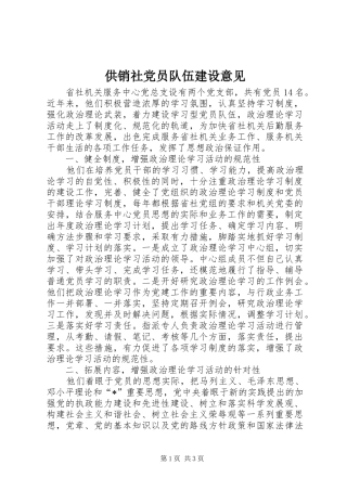 2024年供销社党员队伍建设意见