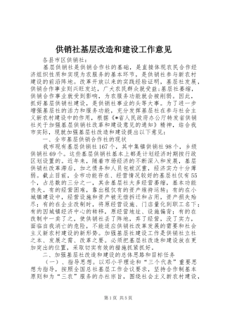 2024年供销社基层改造和建设工作意见