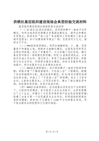 2024年供销社基层组织建设现场会典型经验交流材料