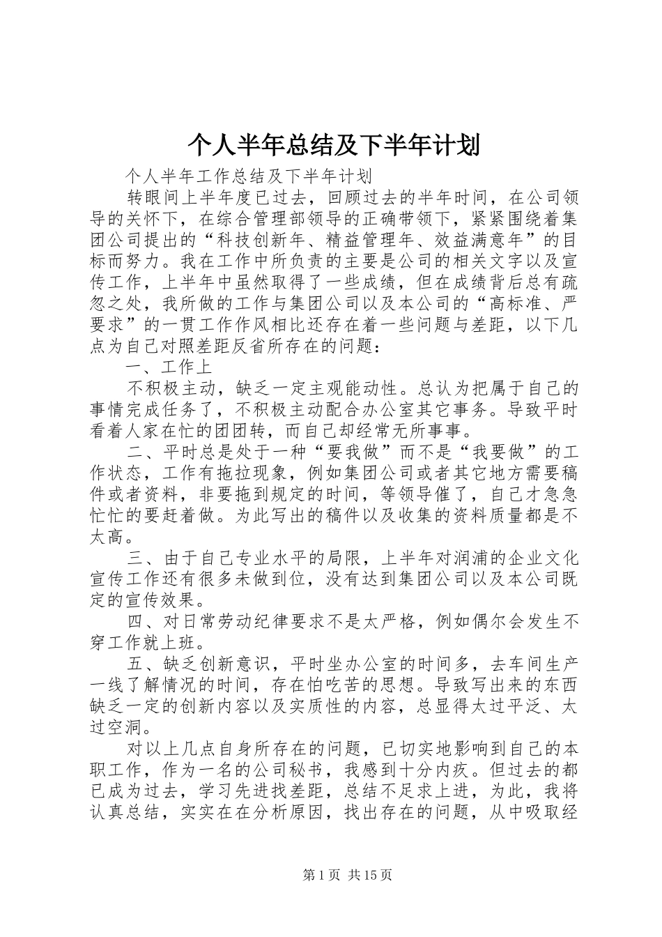 2024年个人半年总结及下半年计划_第1页