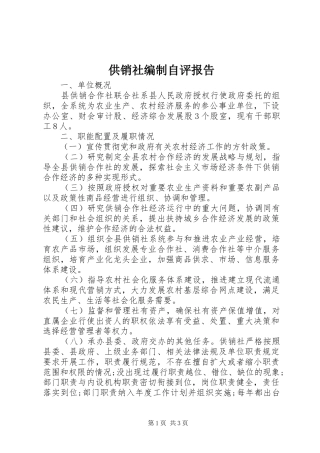 2024年供销社编制自评报告