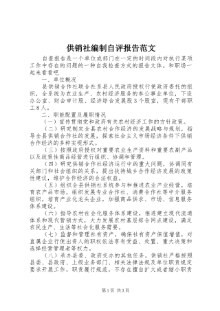 2024年供销社编制自评报告范文