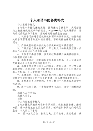 2024年个人承诺书的各类格式