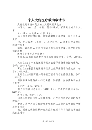 2024年个人大病医疗救助申请书