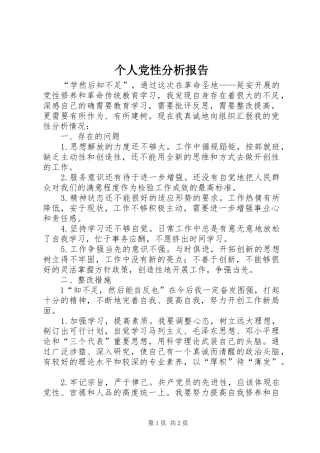 2024年个人党性分析报告
