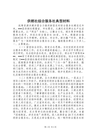 2024年供销社综合服务社典型材料