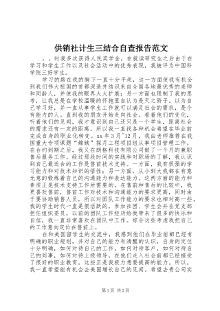 2024年供销社计生三结合自查报告范文