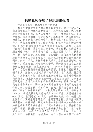 2024年供销社领导班子述职述廉报告