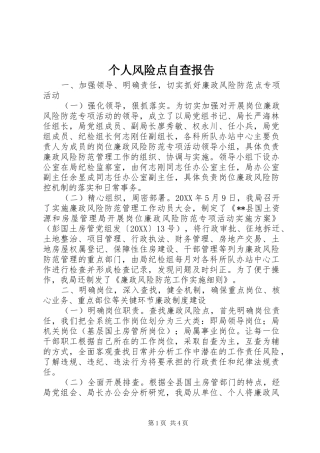 2024年个人风险点自查报告